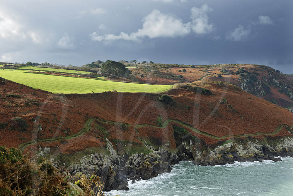 Cap-Sizun-Jean-Yves-Guillaume-photographe-Bretagne